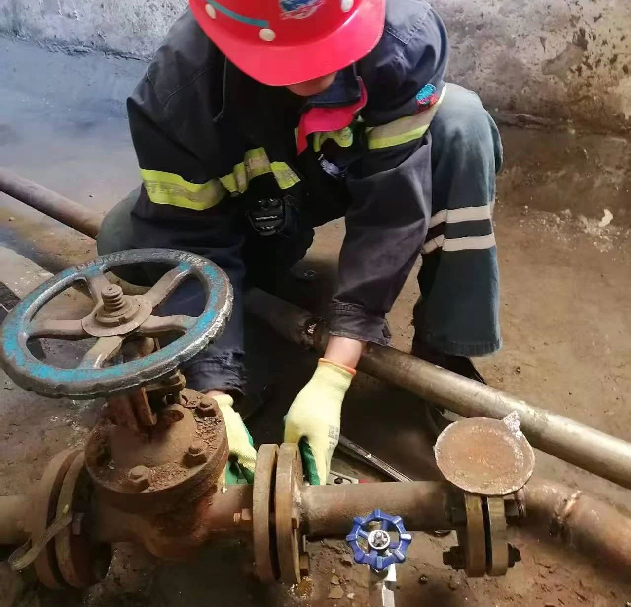 039655c0-4a87-11f0-a870-8cbd52c5c617.jpg 039655c0-4a87-11f0-a870-8cbd52c5c617.jpg